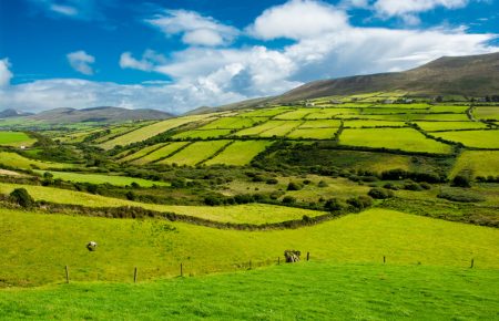 Rural Landscape With Pastures In Ireland