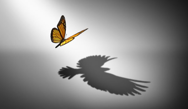 Aspiration for change and ambition for improvement and success as a metaphor for growth and transformation as a butterfly casting a shadow of a flying bird with 3D illustration elements.